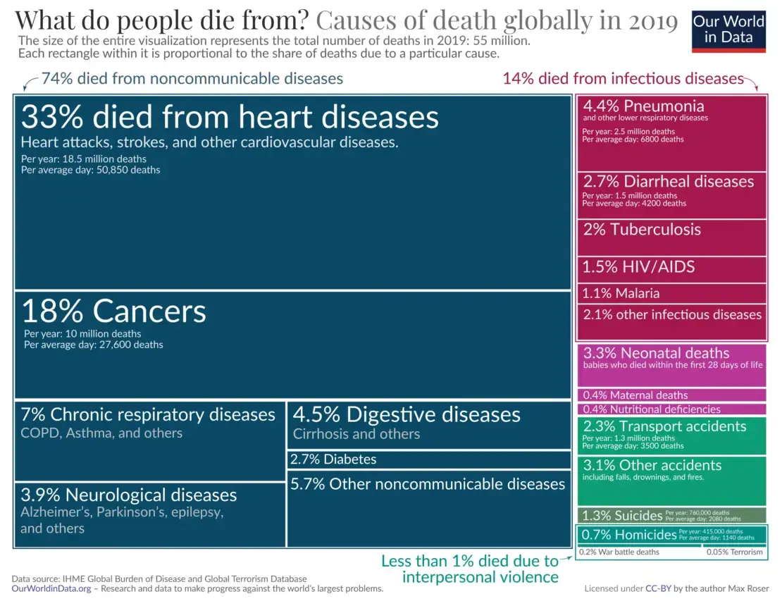 Cause di morte 2019 – Dati visivi Visualizzazione grafica delle cause di morte nel mondo nel 2019, con dati su malattie cardiache, cancro, infezioni, incidenti e suicidi.