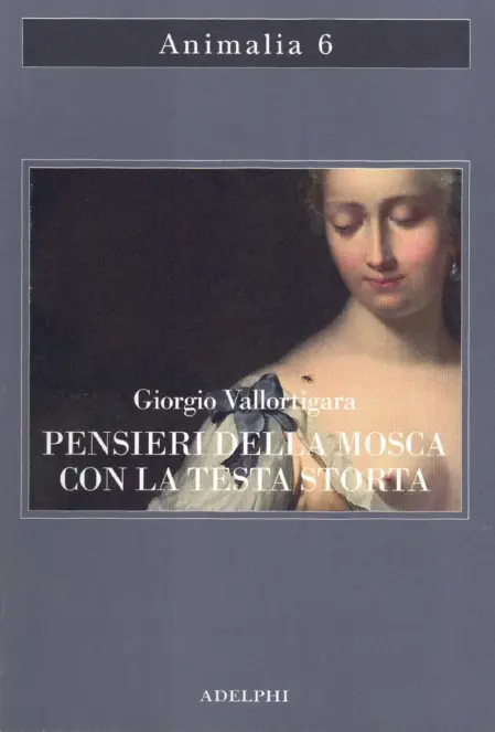 Giorgio Vallortigara — Pensieri della mosca con la testa storta — Adelphi Edizioni, 2021. Copertina libro<br />