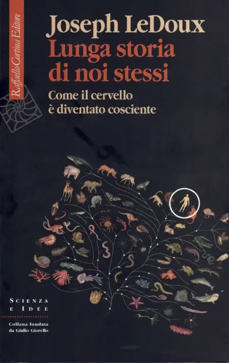 Lunga storia di noi stessi, Come il cervello è diventato cosciente - Raffaello Cortina Editore, 2020. Copertina libro.